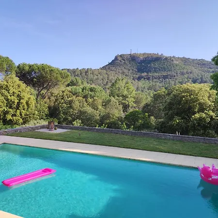 Mas Cevenol Avec Piscine Et Jardin A *